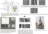 Laboratory of magneto-optical Kerr microscopy 